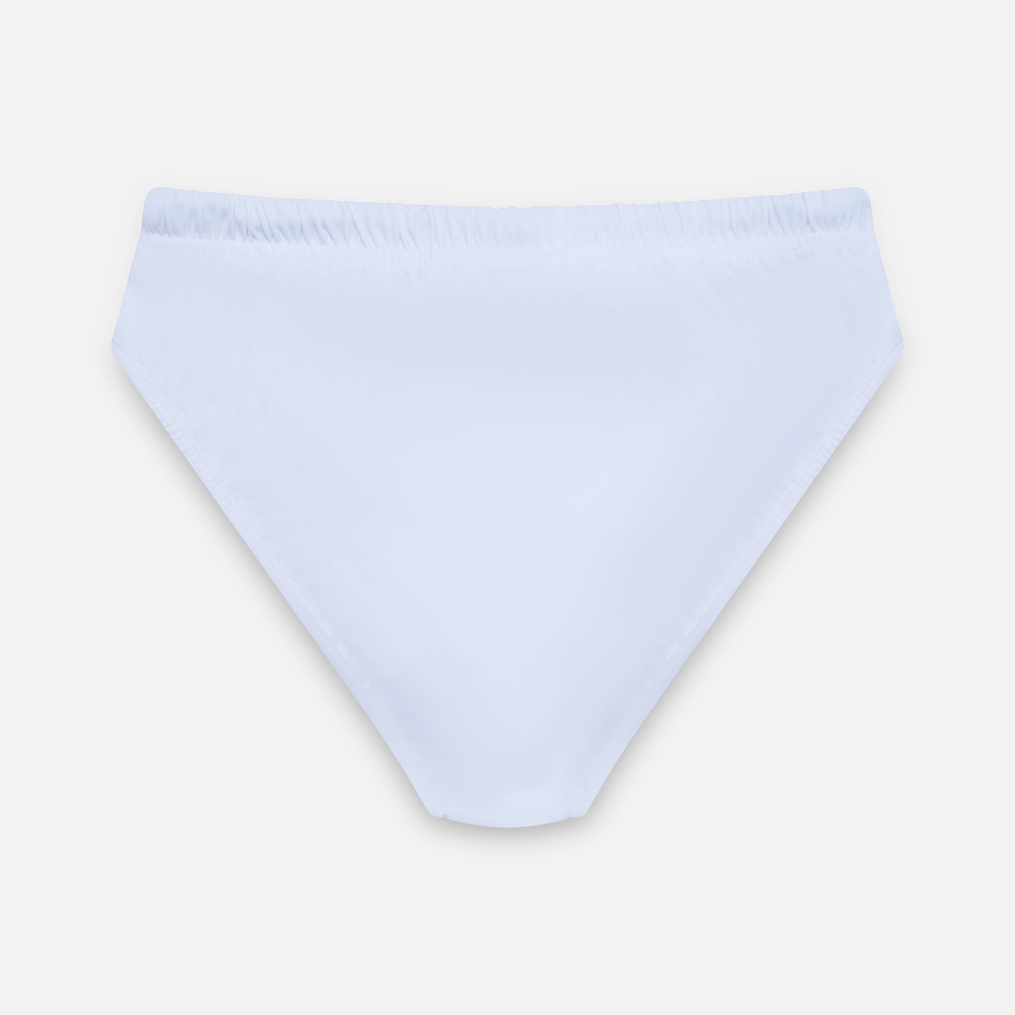SWIM BRIEFS